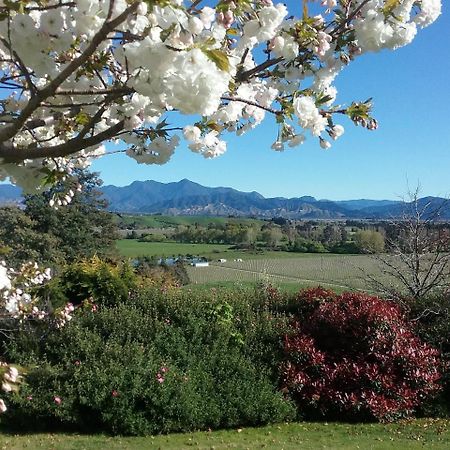 Omaka Heights Countrystay Renwick Exterior foto